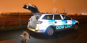 dog-handler
