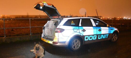 dog-handler
